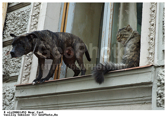 ������, �������, ��� �����, ����������, �������� ��������, ��������, ��������, �����, �����, �� ����, �� �����������, ����, ����, ����������, ������, ������, �����, �����