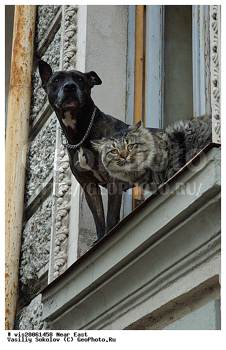 ������, �������, ��� �����, ����������, ����, �������� ��������, ��������, �����, �����, �� ����, �� �����������, ����, ����, ����������, ������, ������