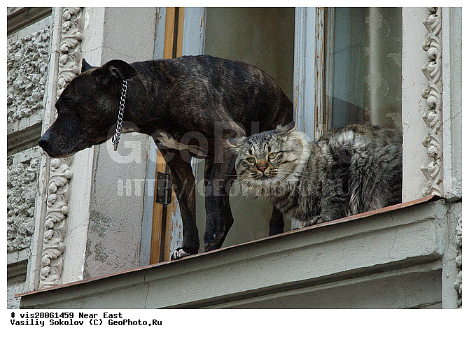 ������, �������, ��� �����, ����������, ����, �������� ��������, ��������, ��������, �����, �����, �� ����, �� �����������, ����, ����, ����������, ������, ������, �����