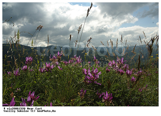 ������, ������, ����, ����, ����, ������, �������, �����, �����, �����