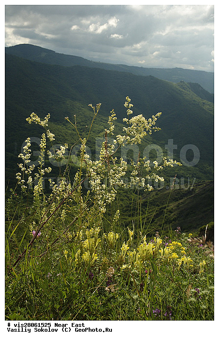 ������, ������, ���, ����, ������, ����, �����, �����, �����