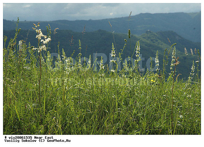 ������, ������, ���, ����, ����, ������, �����, �����