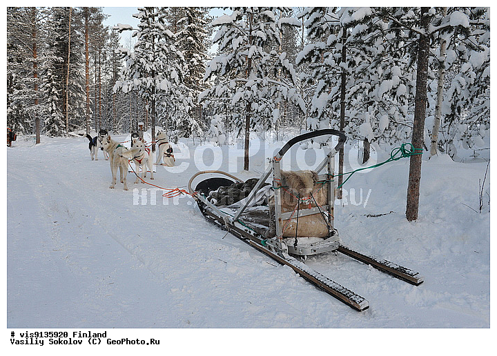 ���������, �����, ����, ������, �������