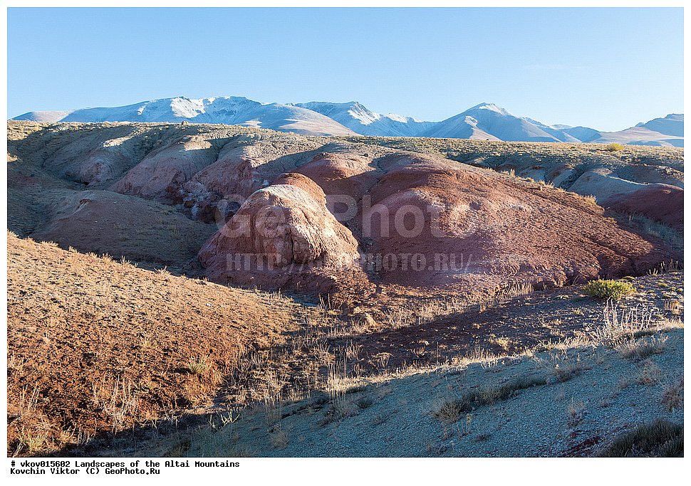 ������, ������ �����, �����, ����, �����, ������, �����, ������� ����, ������, ����� ������, ����, ��������, �����������, �������, ������� �������, ������ ����, ������� ��������������