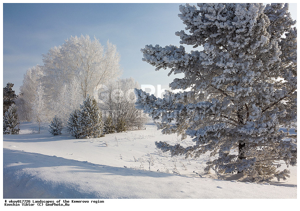 ������, ����������� �������, ��������, �����, ����, ����, ����, ���, �������, �����, ������, ������� ����, ��������� �����, ����