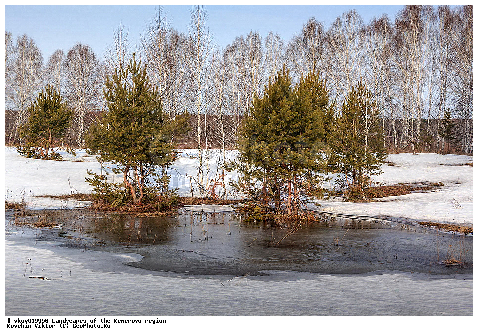 ������, ����������� �������, ��������� �����, �����, ��������, ������, ����, ����, ����, ����, ���������, ���, ���������, ��������, �������, ����� ������, �����, ��������