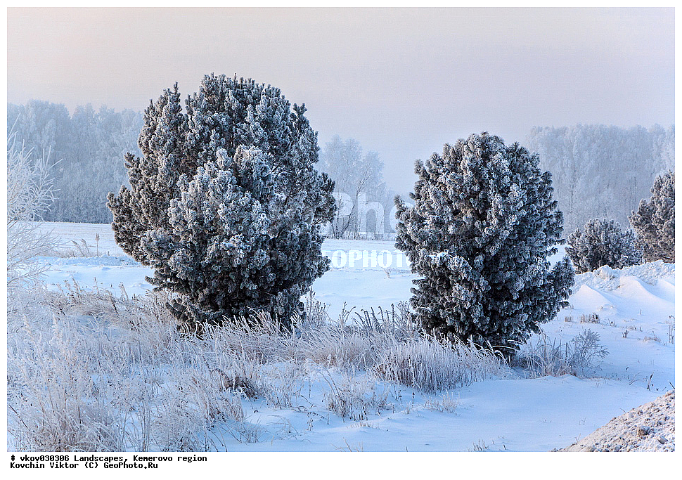 ������, ����������� �������, ����, ����, ����, �������, �����, �����, ����