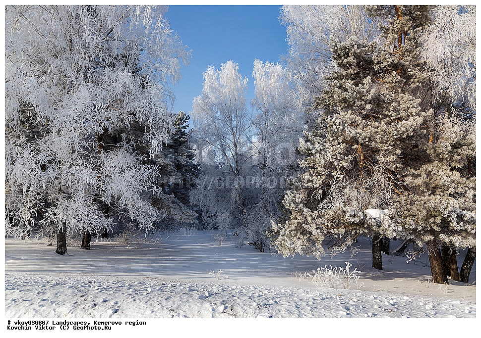 ������, ����������� �������, ����, ����, ����, �������, �����, ������, ���, ��������� �����