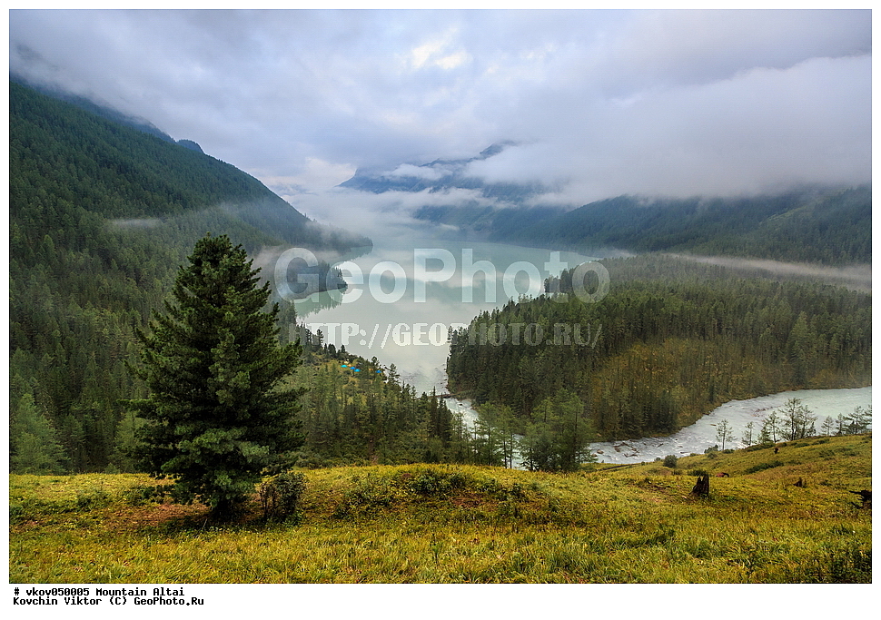 ������, ����, �����, ���������� �����, �����, �����, ������������ �����, �����������, ����, ����