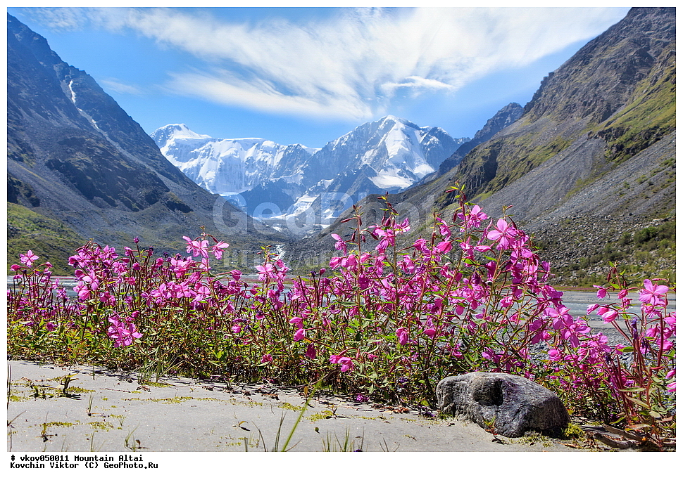 ������, ����, �����, ���������� �����, �����, ������, ��-������� ������, ������, ����, ������