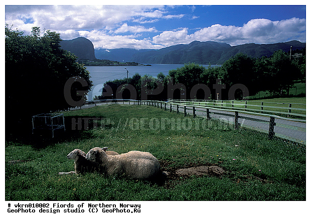 ��������, ���������, ��������, �����������, ����, �����, ������