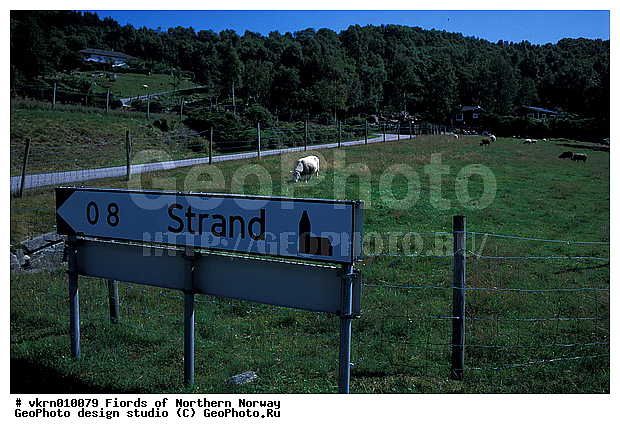 �������� ���������, ��������, �����������, ����, ��������, ������