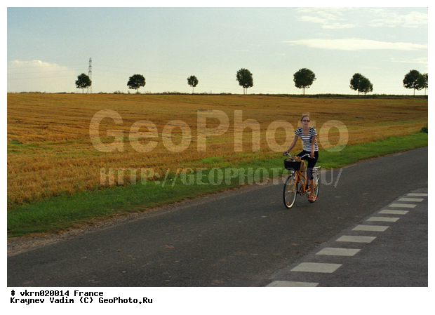 �������, ������������, ��������, ����, �������� ������