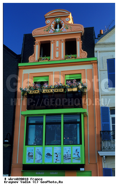 �������, ��������, ��� ������ ��� ����, ����� ���