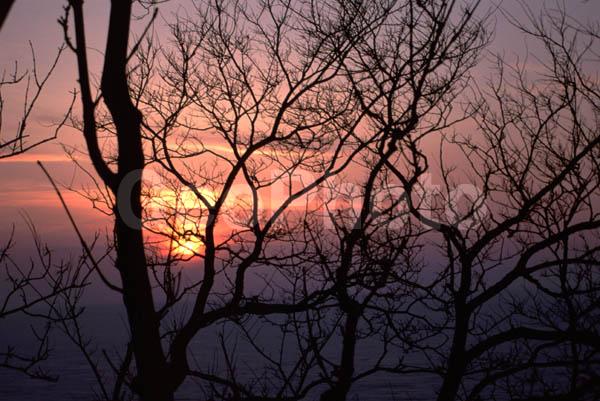 �����������, ������� ������, ������, ���������� ������, �����, ������, �����