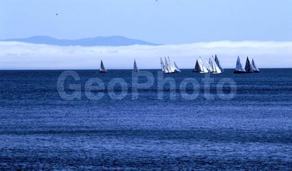 �����������, �������� �����, ������, �������� ����, �����, ����, ������, ��������, ���������