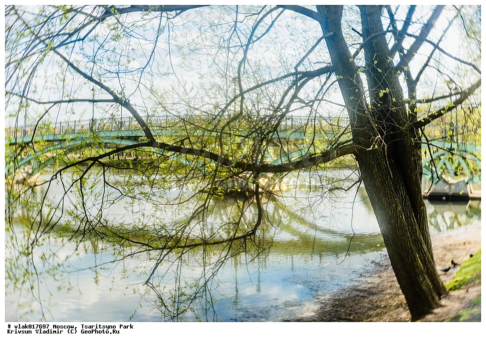 ������, ����, ��������, �������, �������������, ��������, ������, ������, ����, ���, ������������, �������, �����������, �������, �����������������, �������, ��������, ���������, ����, ������, ��������� ����, ������, ��������, ����, �����, �������, ������, ������, �����, ������, �� �������� �������, �������, ���������, ������, �����, ������, ���, �����, ����������, ���, ������, �����, ������, ��������, ���������� �����, ���������, �����, ����, ��������, �����������, ���������, ���, �����, ����������, ����������, �������, ����, �����, �������, �����, �����������������, ����������, ������������, ��������, ��������, �������, ��������� �����������, ���������