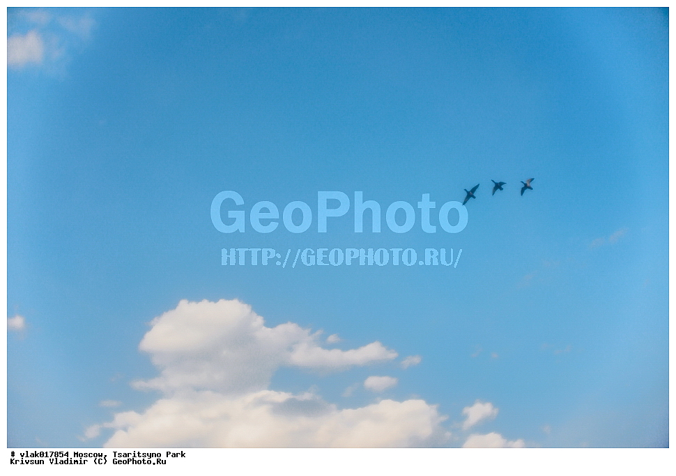 ������, ����, ��������, �������, �������������, ��������, ������, ������, ����, ���, ������������, �������, �����������, �������, �����������������, �������, ��������, ���������, ����, ������, ��������� ����, ������, ��������, ����, �����, �������, ������, ������, �����, ������, �� �������� �������, �������, ���������, ������, �����, ������, ���, �����, ����������, ���, ������, �����, ������, ��������, ���������� �����, ���������, �����, ����, ��������, �����������, ���������, ���, �����, ����������, ����������, �������, ����, �����, �������, �����, �����������������, ����������, ������������, ��������, ��������, �������, ��������� �����������, ���������