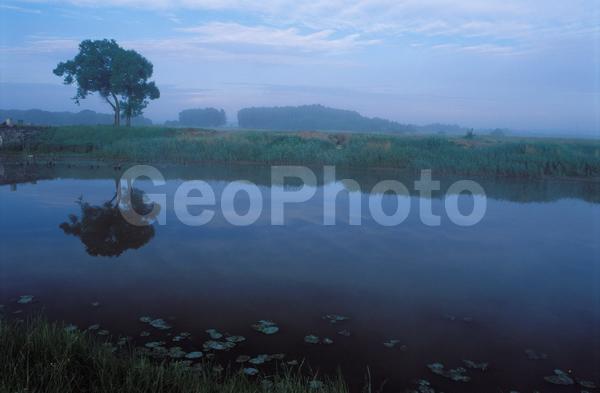 ������������, ������� ������, ����, ������� ������