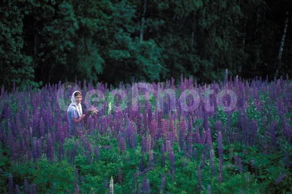 ������������, ������� ������, ����, ������� ������