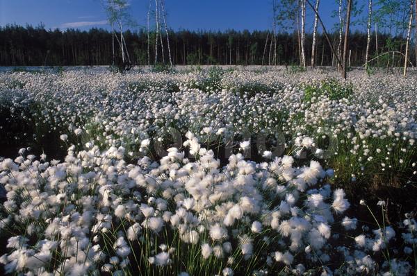 ������, ��������, ����, ������, ����, ����, ���������, �������� ������