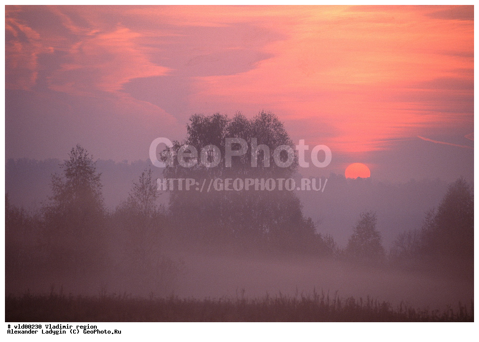 ������, ������������ �������, ��������, ������, �����, summer