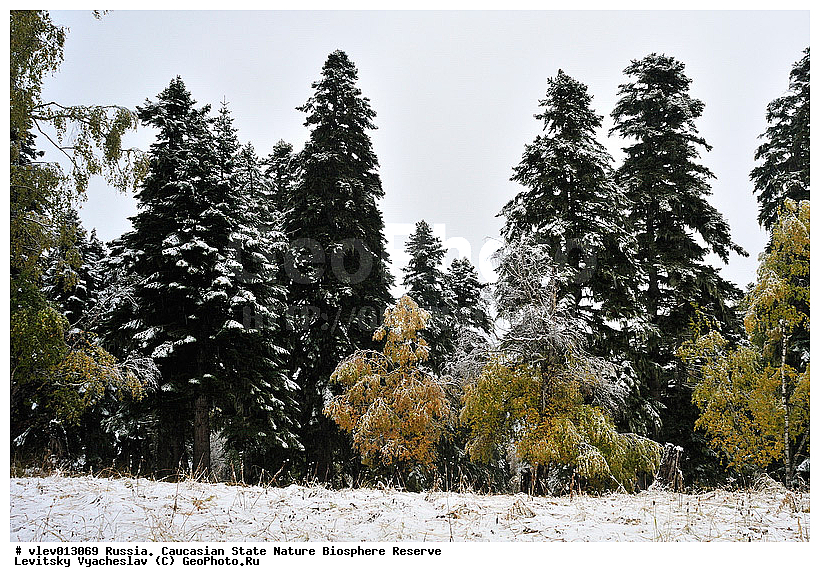 ���, ������ ��������, ���������� ��������������� ��������� ���������� ����������, ���������� ����������, ������, ����, ���� ������, ����������, �����, ���������, ������, ������, ���������-��������, ������������� ����, ������� ���������� ������, ���������������, ���������, ����������, ����������, ���������, ���������, ��������, �����, ����, �������, ������, �����������, ����, ����, ����, ������, �������, ��������, �����, ��������, �������, �����, �����, �����, ����, �����, ����, �����, �������,, ������, �������� ������, ������������� ����, ����, ��������� ������, ������ ����, �������, �����, �����, �����, ������� �����, ���������, ������, 