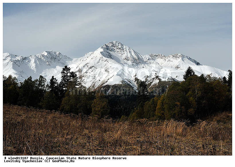 ���, ������ ��������, ���������� ��������������� ��������� ���������� ����������, ���������� ����������, ������, ����, ���� ������, ����������, �����, ���������, ������, ������, ���������-��������, ������������� ����, ������� ���������� ������, ���������������, ���������, ����������, ����������, ���������, ���������, ��������, �����, ����, �������, ������, �����������, ����, ����, ����, ������, �������, ��������, �����, ��������, �������, �����, �����, �����, ����, �����, ����, �����, �������,, ������ ��������, ����, ������, ���� ������, ������� ���������� ������,������� ���������� ������, �������� ������, ���������� ��������������� ��������� ���������� ����������, ���������� ����������, �����, ������������� ����, ������, ������ ������ ������-�����-��������, ������� �������, ����, ��, ������, ����, ������, ����������, ������� �����, ���������, ��������, �������� �����, ����������� �������, ������� �������, �����, �����, ���, �����