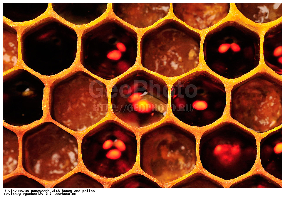 �������� ����, ��, �����, ���������� �����, ����-���������� �����