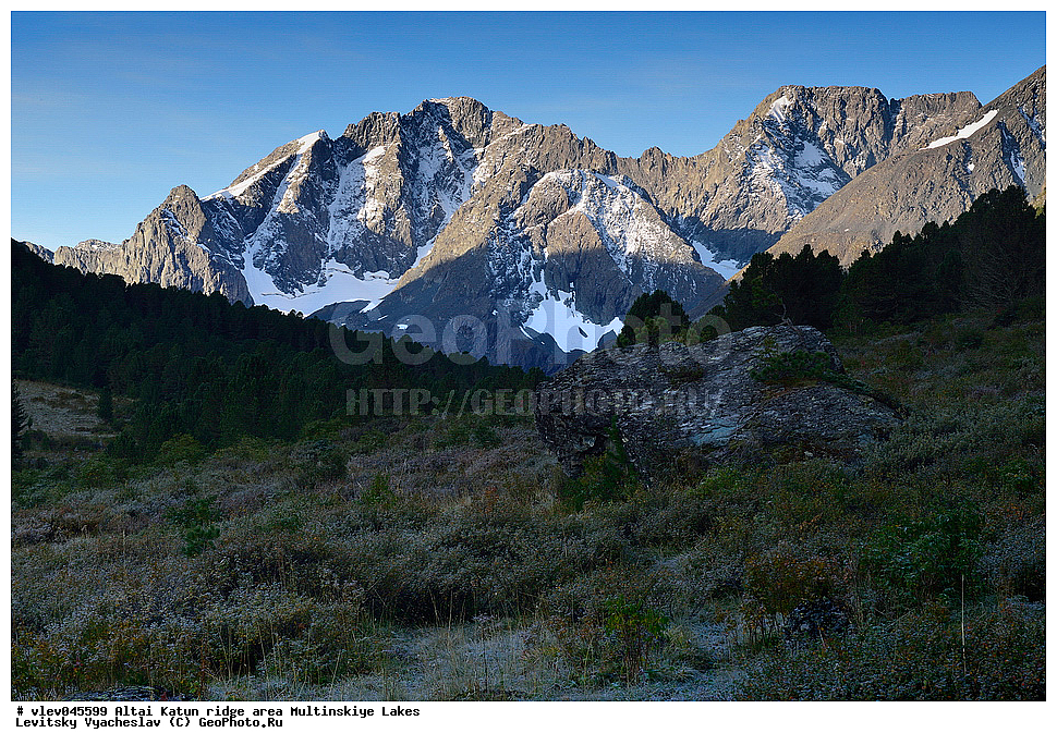 �����, ��������� ������, ����������� �����, �����, �����