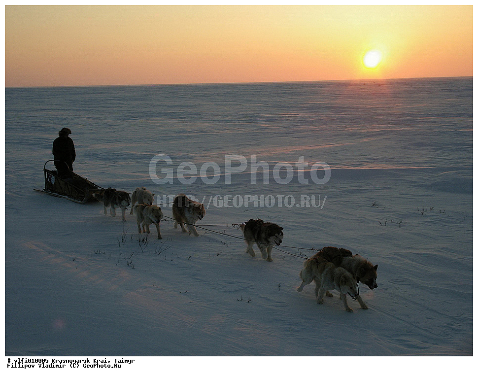 ������������ ����, ���������� ����������, ������, ���������, ����