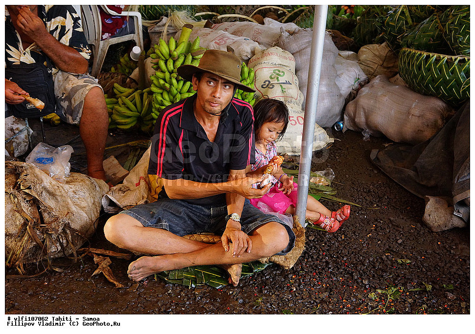 �����������, �����, �����