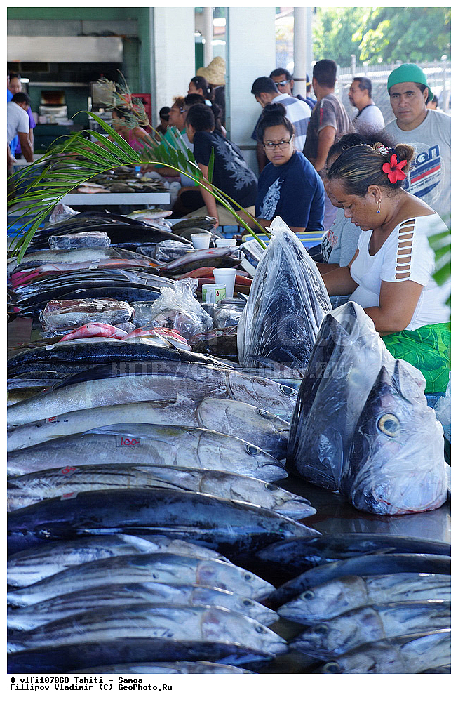 �����������, �����, �����