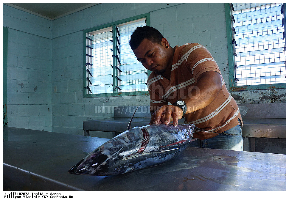 �����������, �����, �����