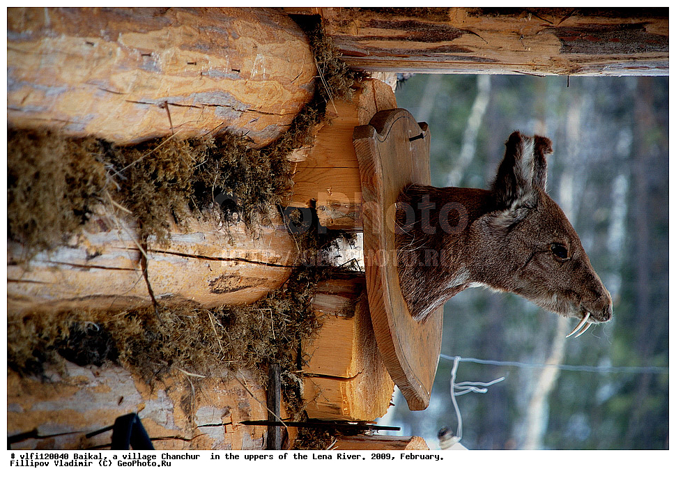  �����������, ����,  ������ , ��������, ����, ����, ��������������� �������, ��������� �������, ��������� ��������, 2009, �������, �����
