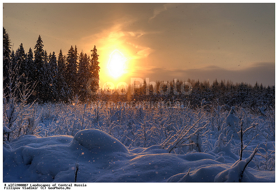 ����������� ������, �������