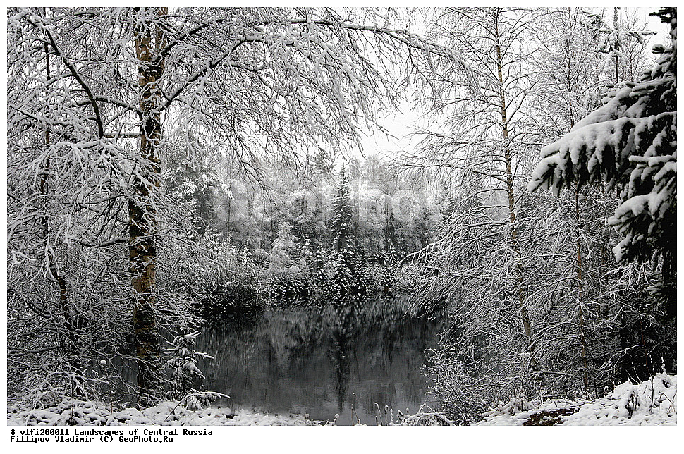 ����������� ������, �������