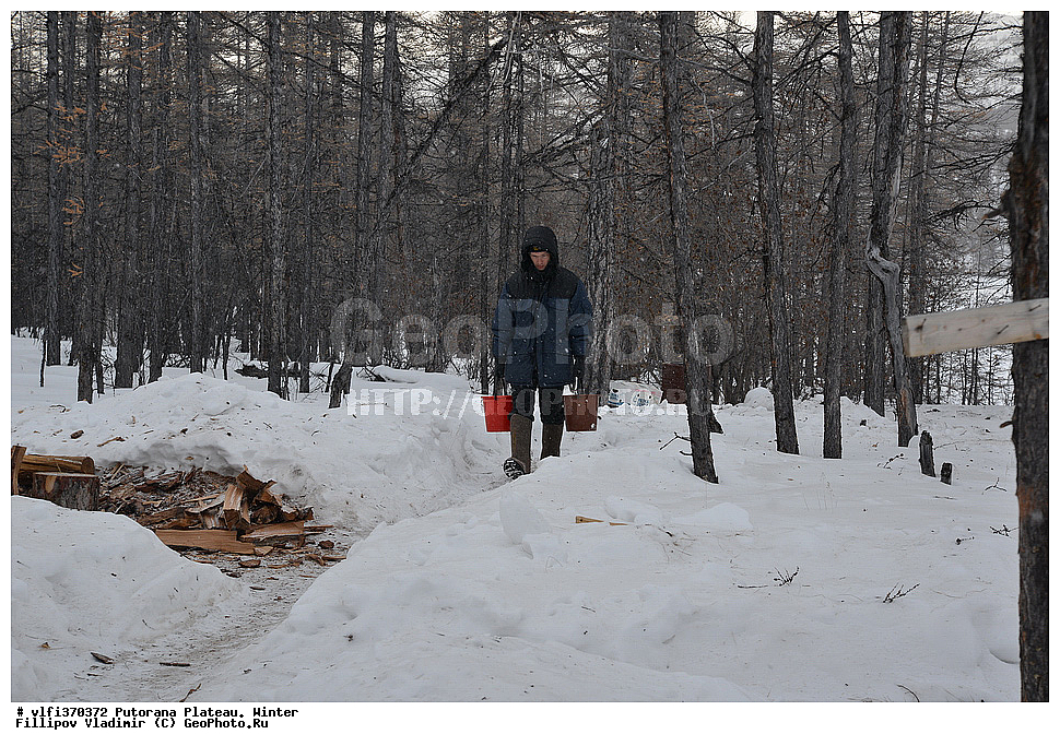 ����� ��������, ��������������� �����������, ����