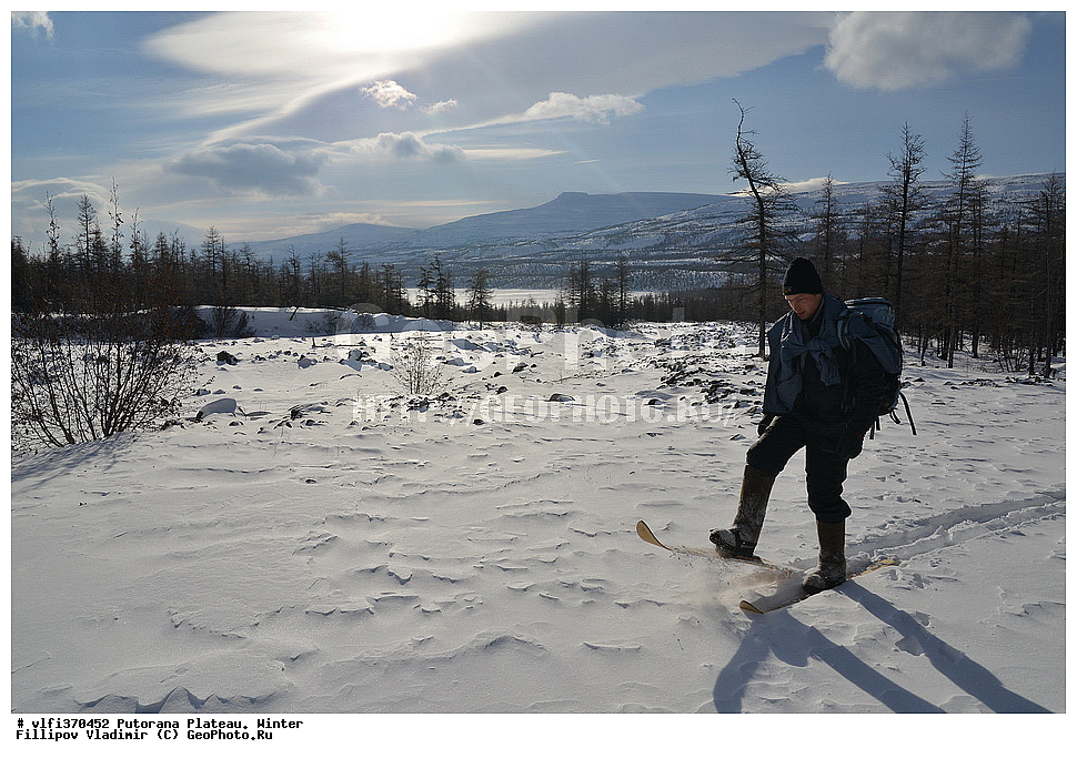 ����� ��������, ��������������� �����������, ����