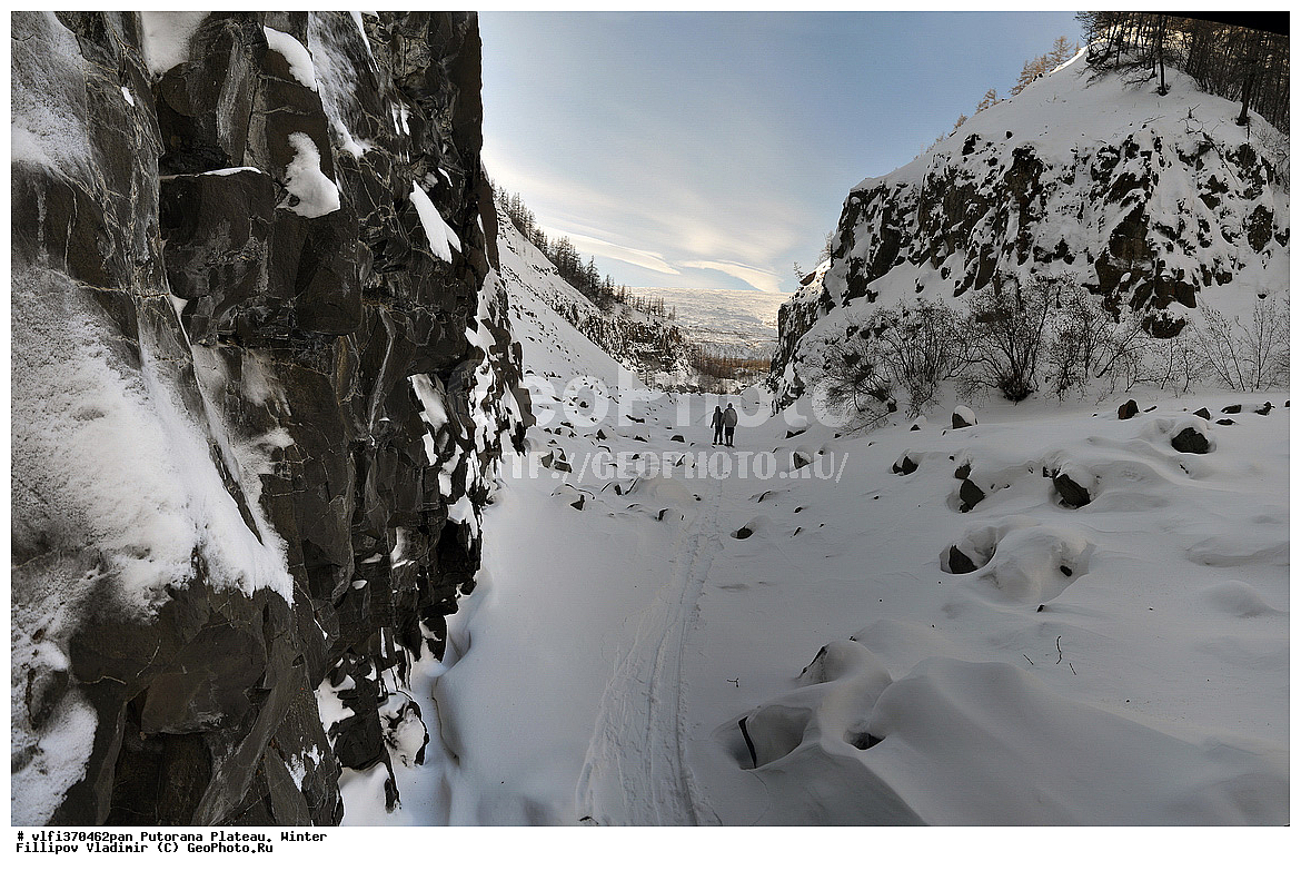 ����� ��������, ��������������� �����������, ����