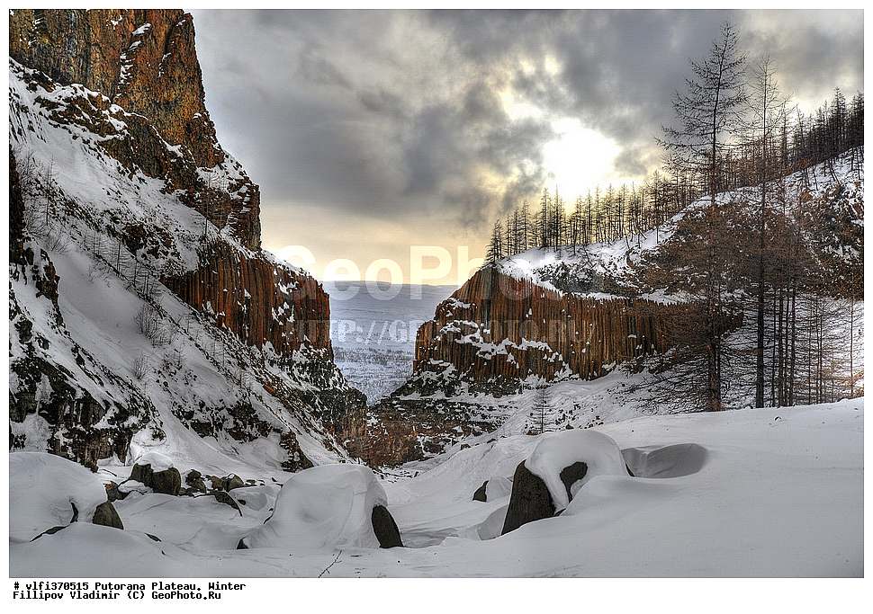 ����� ��������, ��������������� �����������, ����