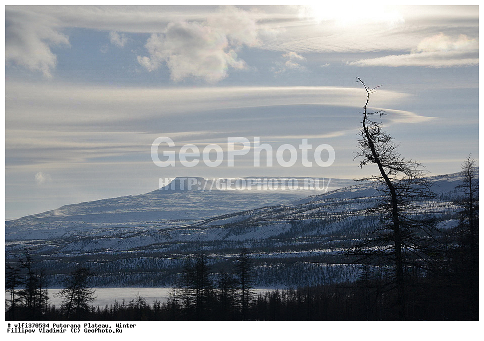 ����� ��������, ��������������� �����������, ����