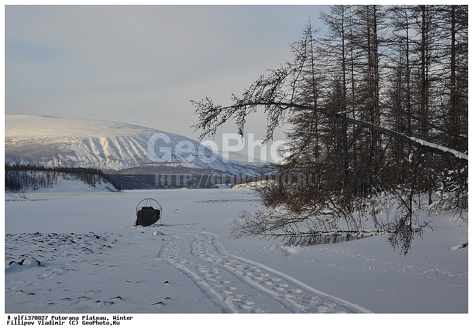 ����� ��������, ��������������� �����������, ����