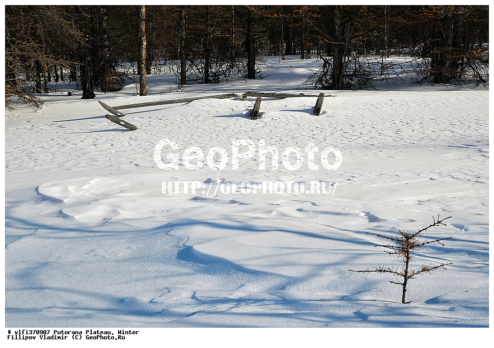 ����� ��������, ��������������� �����������, ����