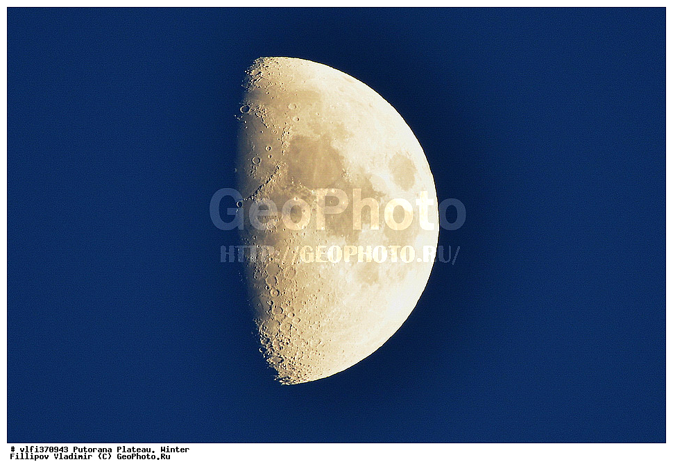 ����� ��������, ��������������� �����������, ����