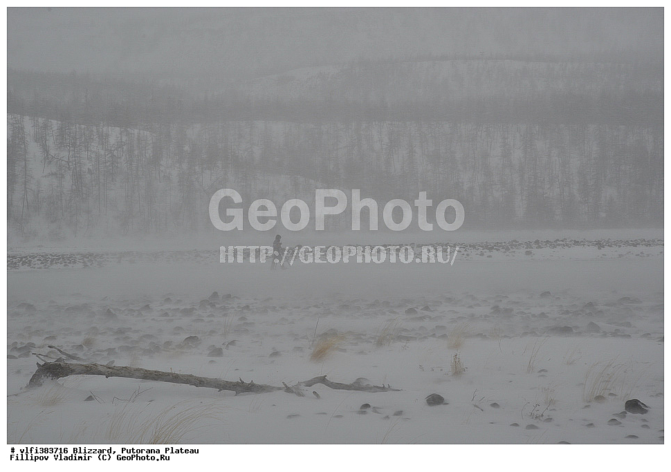 ��������������� �����������, ����� ��������, �����