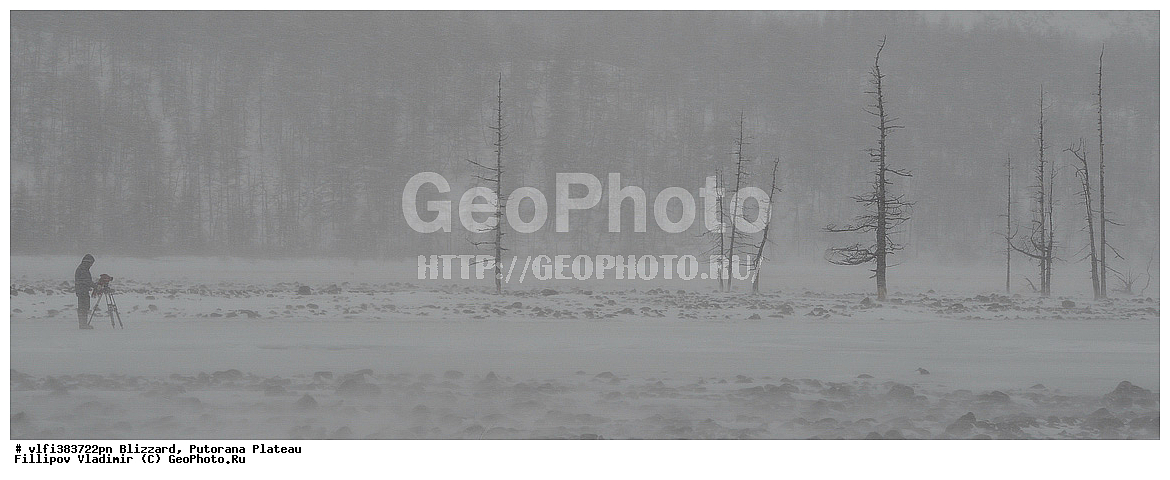 ��������������� �����������, ����� ��������, �����