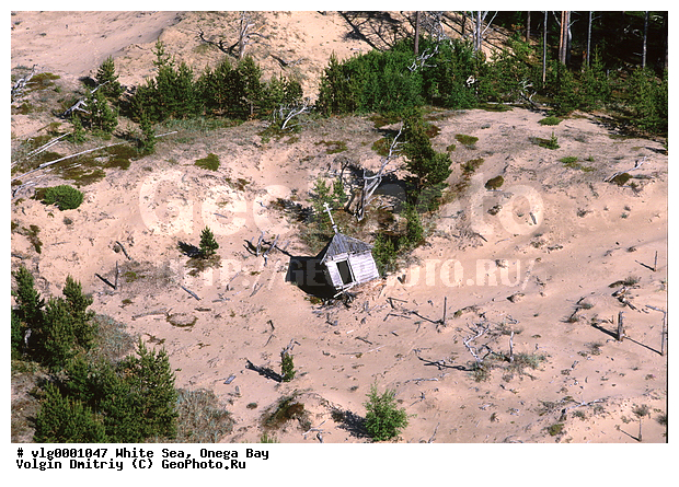 ����� ����, �������� ����, ��� � �������