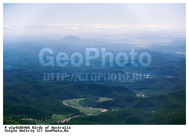 ���������, ��������, �����