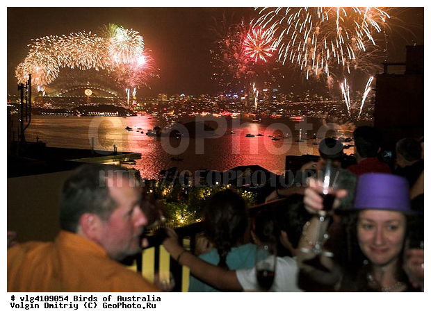 ���������, ��������, �����